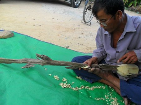 Aquilaria inoculation