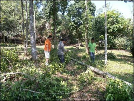 Aquilaria inoculation