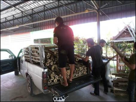 Aquilaria inoculation