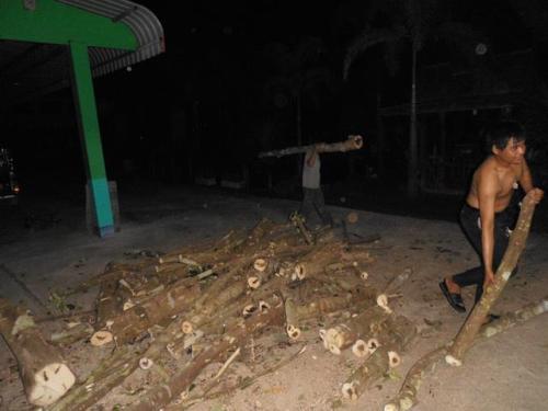 Gaharu 沉香 Agarwood