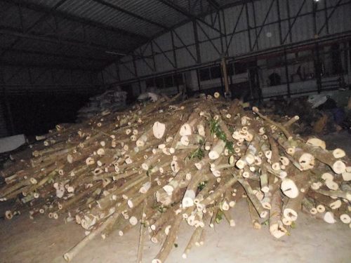 Gaharu 沉香 Agarwood