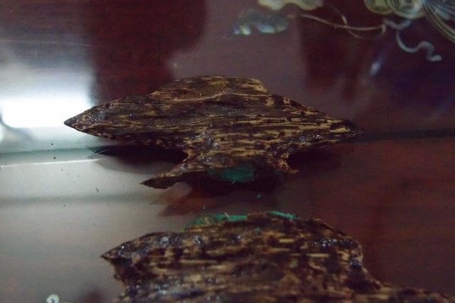 285260_258828780798454_2870610_n