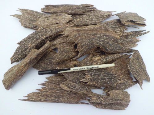 Agarwood chips