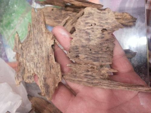 1378746_735245696489411_1145390358_n