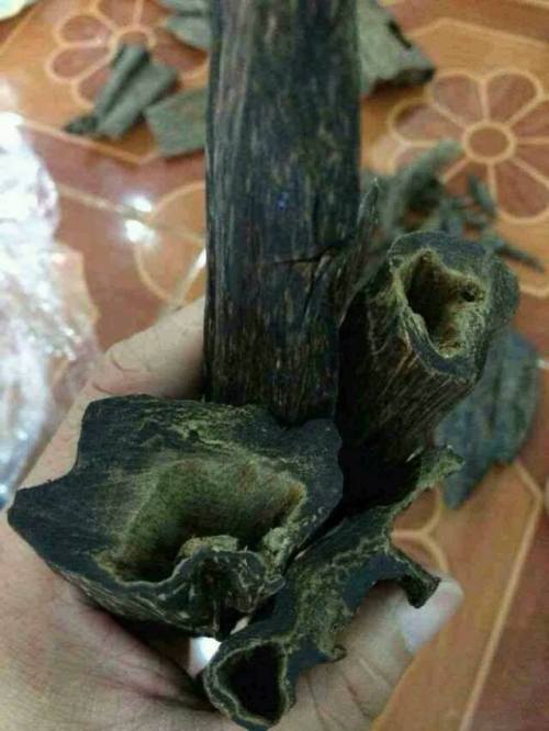 10307204_10202046419071992_3564389427812845767_n