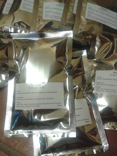 Bacillus thuringiensis