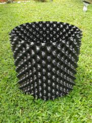 16403435_1346274545434799_6287725446594533900_o