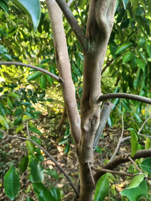 mmexport1572771402456