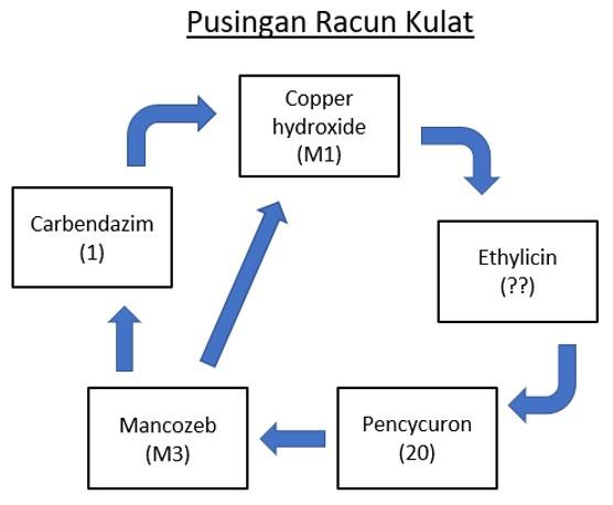 pusingan kulat