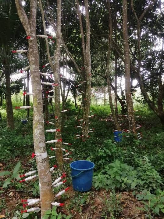 271735436_141315264957205_8909746356961962738_n